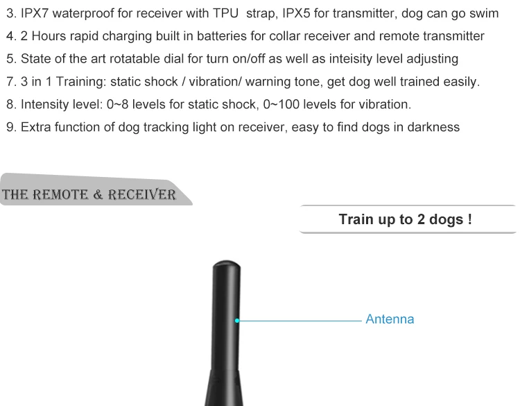 Electric Dog Collar (1).jpg