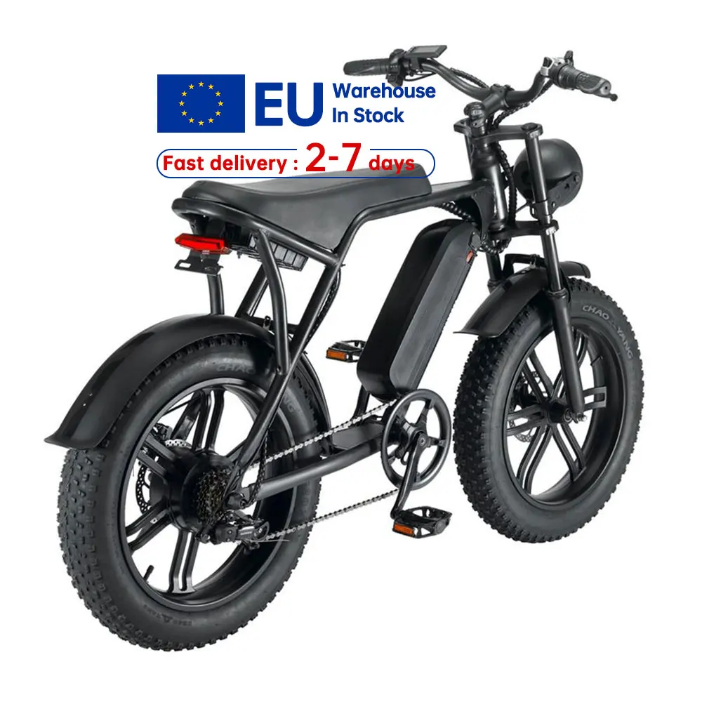 

Free Shipping 20 inch Electric Bike 750w Fat Tire Electric Bicycle Ebike Electric Mountain Bike Bicicleta