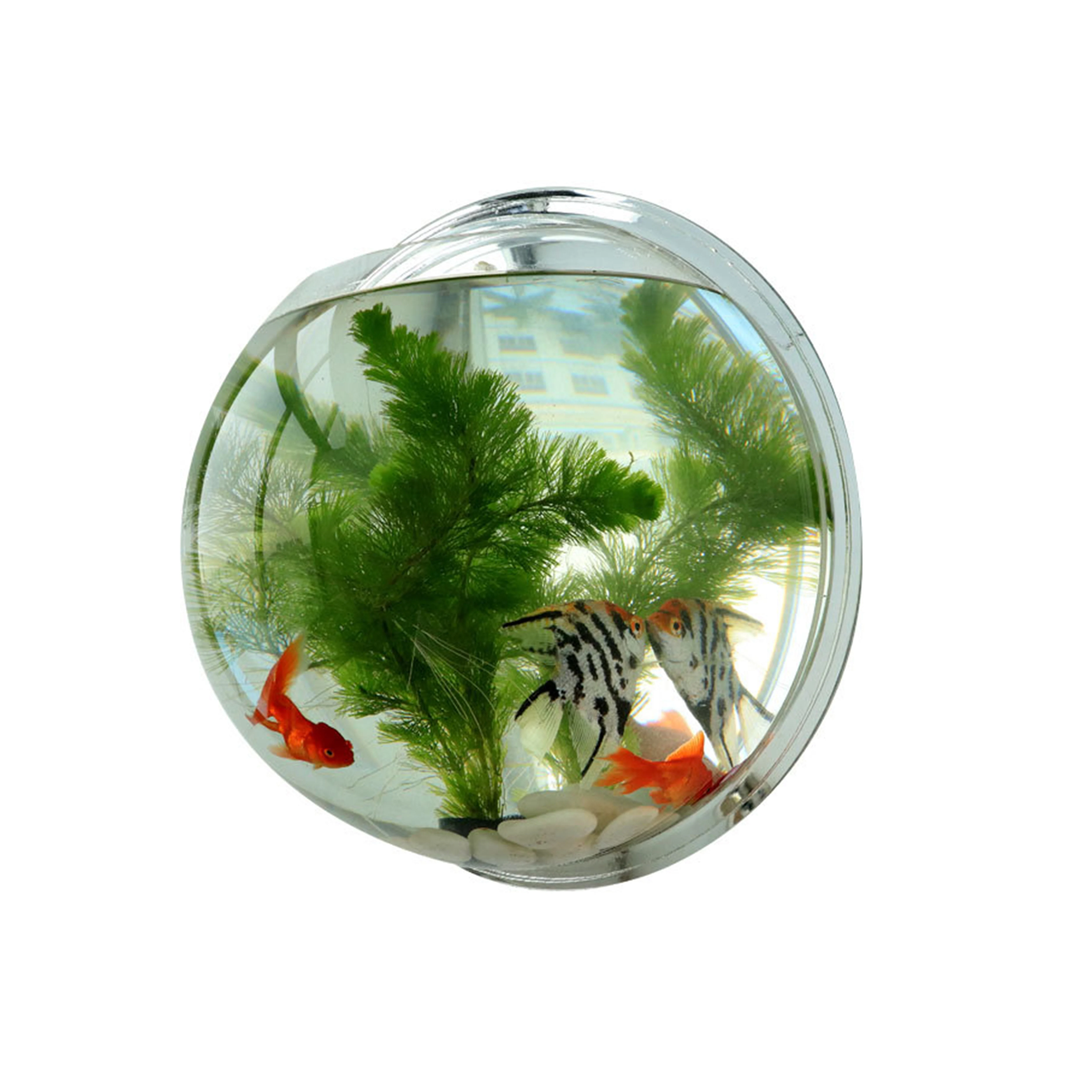 

Eco-Friendly Transparent Glass fish tank aquarium