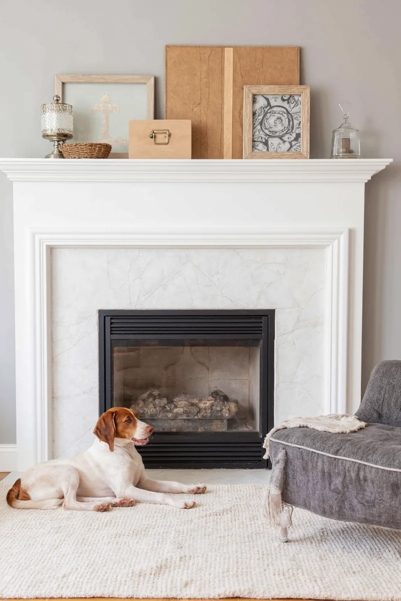 Elegant navy blue upholstered pet bed placed next to a modern coffee table.