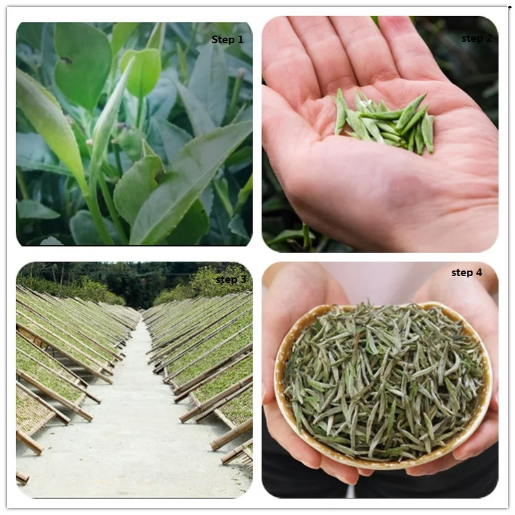 Top Quality Chinese Organic White Tea Silver Needle Bai Hao Yin Zhen Tea - 4uTea | 4uTea.com