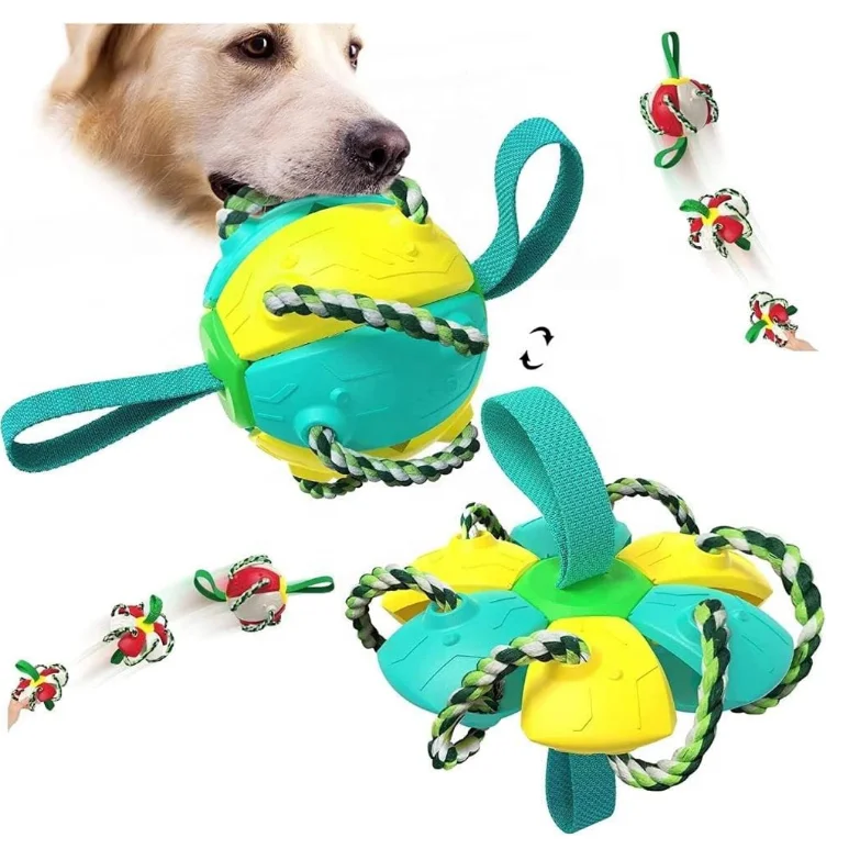 

2023 New Interactive Soccer Toy With Catch Piece Pet Toy Flying Disc Outdoor Flying Disc Ball Dog Toy