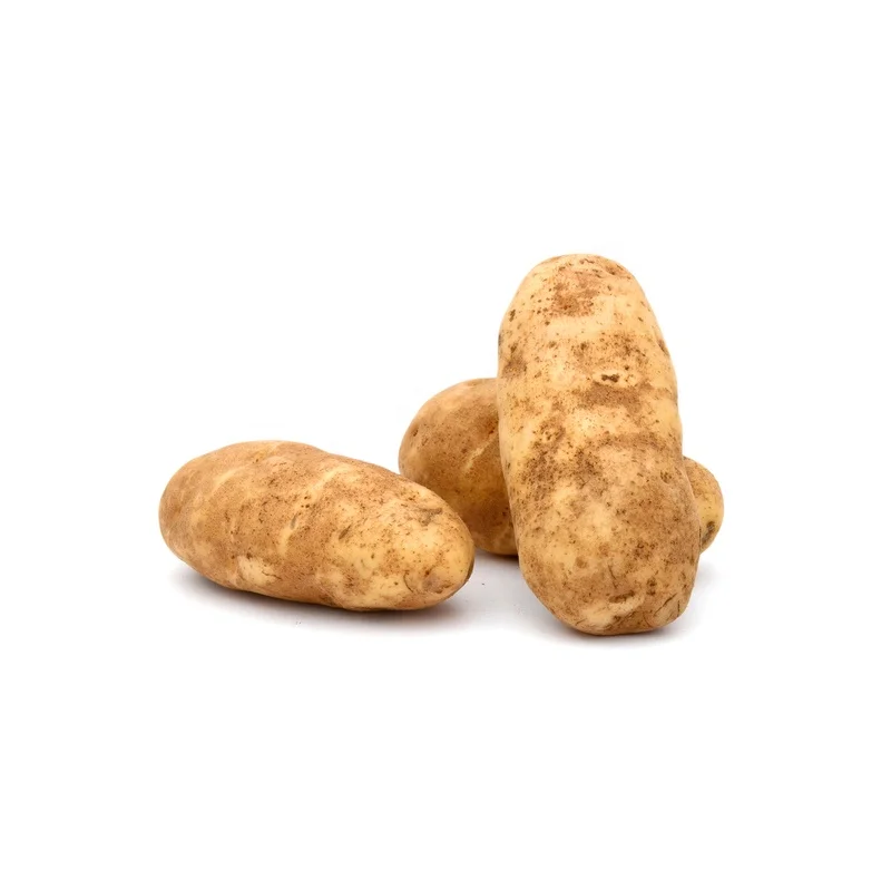 
US Grown Fresh POTATO BAKERS BULK Robinson Fresh MOQ 50-60 COUNT Quick Delivery in US 