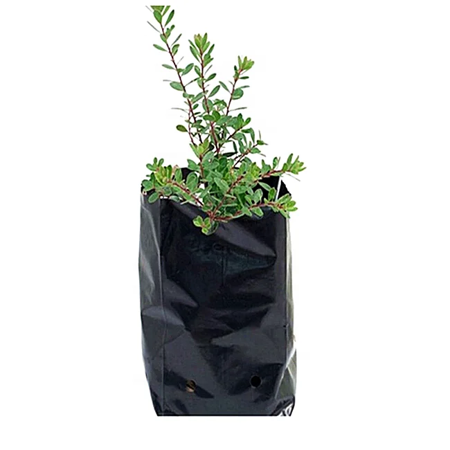 

Hot Sale Garden UV resistant PE polyethylene plastic seedling/planting bags for plant nursery grow bags for plants, White or black