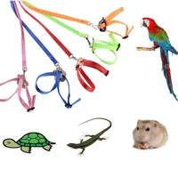 

multicolor adjustable bird harness and leash A set birds harness for training Parrot leash