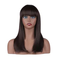 

New Arrival Cheap Synthetic Wigs Colorful Straight Synthetic Wigs Lace Front With Bangs