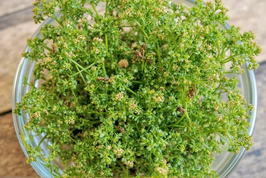Chervil Leaves