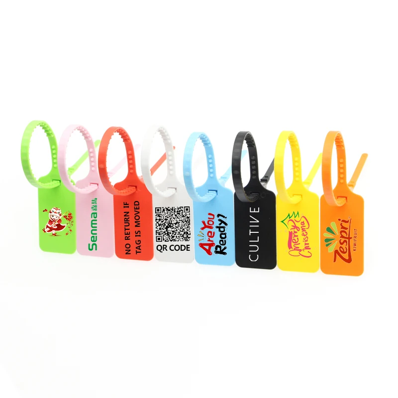 

Custom Clothing Hang Tags Personalized Plastic Security Print Garment Shoe Clothes Product Logo Label Tag