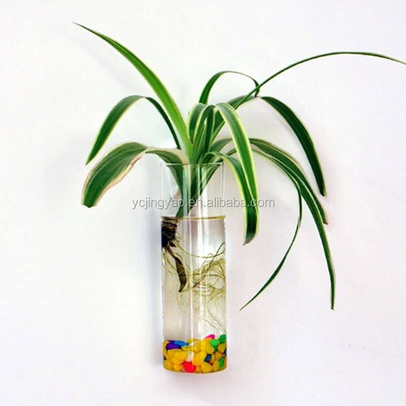 

Glass Hanging Wall Vase Flower Pot Cylinder Planter Plant Containers, Clear transparent