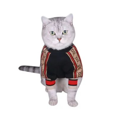 

Fashion luxury black pet dog brushed clothes pullover hoody for cat dog