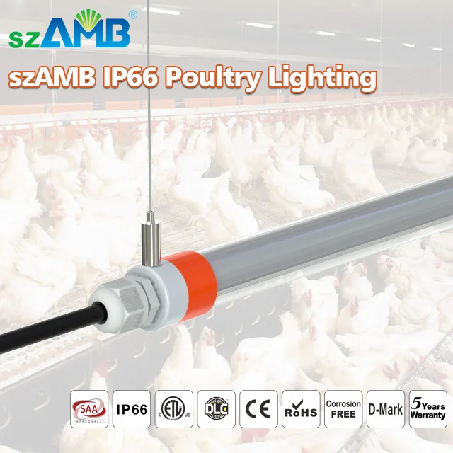 
2020 New Upgraded Rotating End Cap IP67 T8 Poultry Lighting 2020 New Upgraded Rotating End Cap IP67 T8 Poultry Lighting