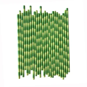 Image of 1000pcs Set Bio Degradable Disposable Compost Green Bamboo Paper Straws Non Plastic Cardboard Straws