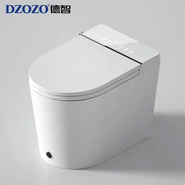 

Sanitary Wares Bathroom Wc Automatic Electronic Bidet Intelligent Smart Toilet