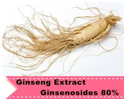 4 Ginseng Extract .jpg