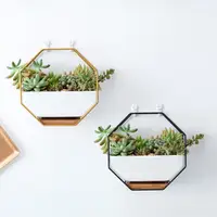 

simple style mettal frame wall plant pot holder ceramic flower pot ins Green plants succulent Creative Octagon flower pot holder