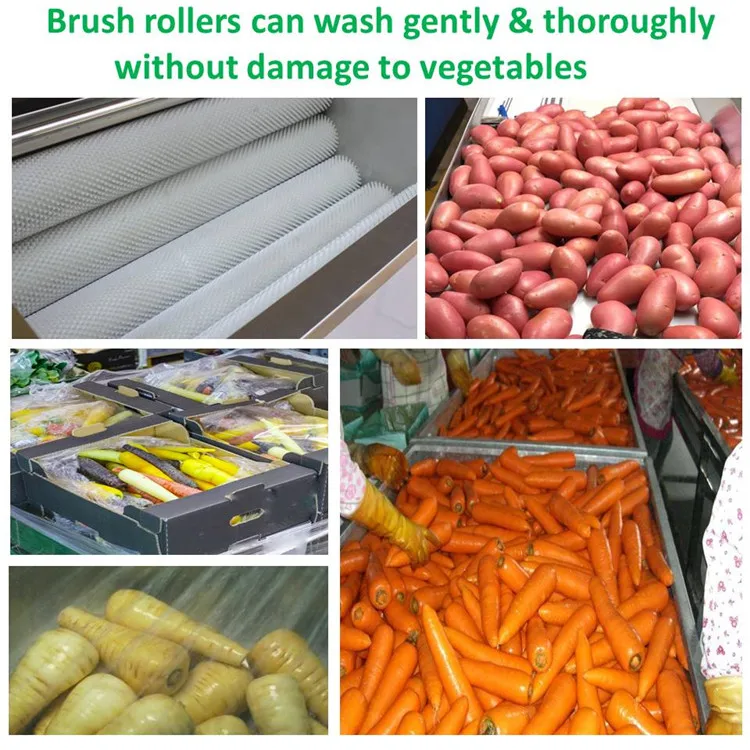 Food preparation radish potato washing carrot washing machine    #Ghana WT/8613824555378