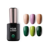 

3D Cat Eye Gel Nail Polish OEM UV Gels