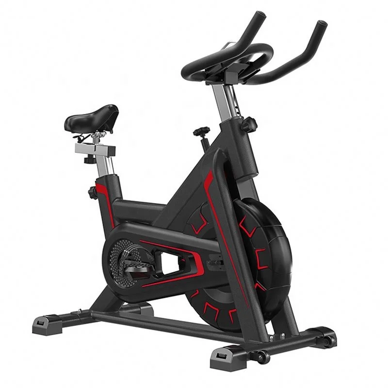 

HIKER Fitness Equipment Home Exercise Bike Professional Spinning Bike with Screen, Customized