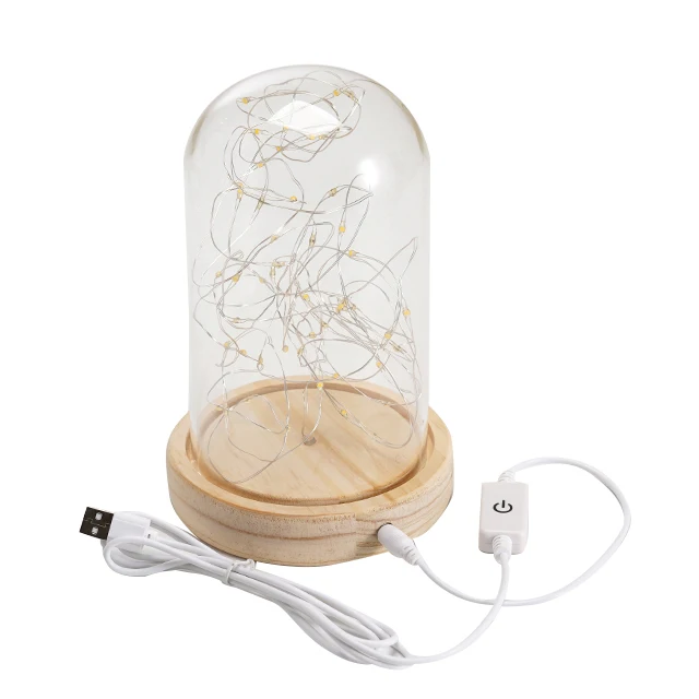 Glass Dome Lamp Bell Jar Display Dome Bamboo Base String USB LED twinkle lights amazon