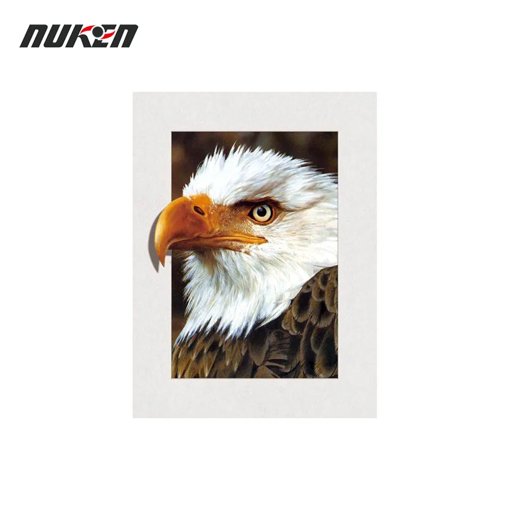 
High quality 5d picture lenticular printing 