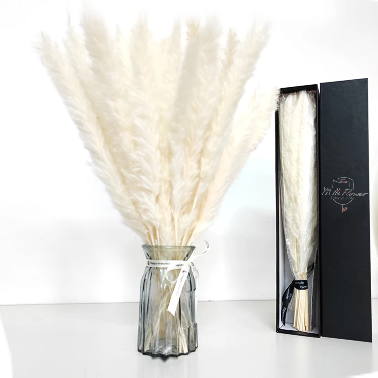 

Long Lasting Mini Pampas Grass Grey 45 cm Decorative Home Wedding Party Birthday Decor 60cm Pampas Grass