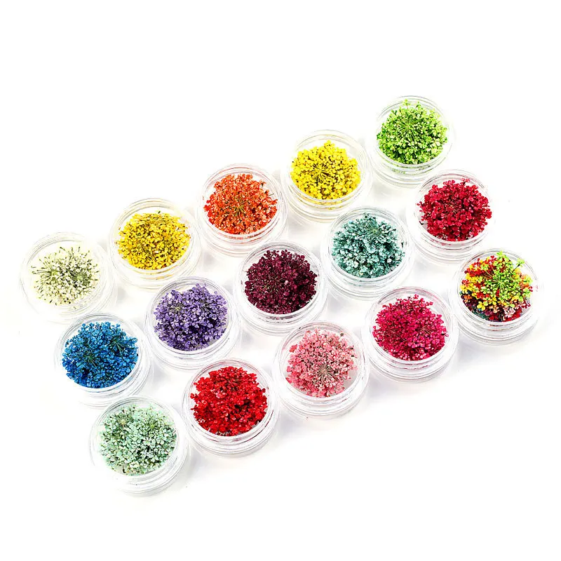 

Hot fashion Summer Nail Dried Flower Real Floral 3D Nail Art Flower Decorations for uv gel polish diy design Pressed Flower, Colorful