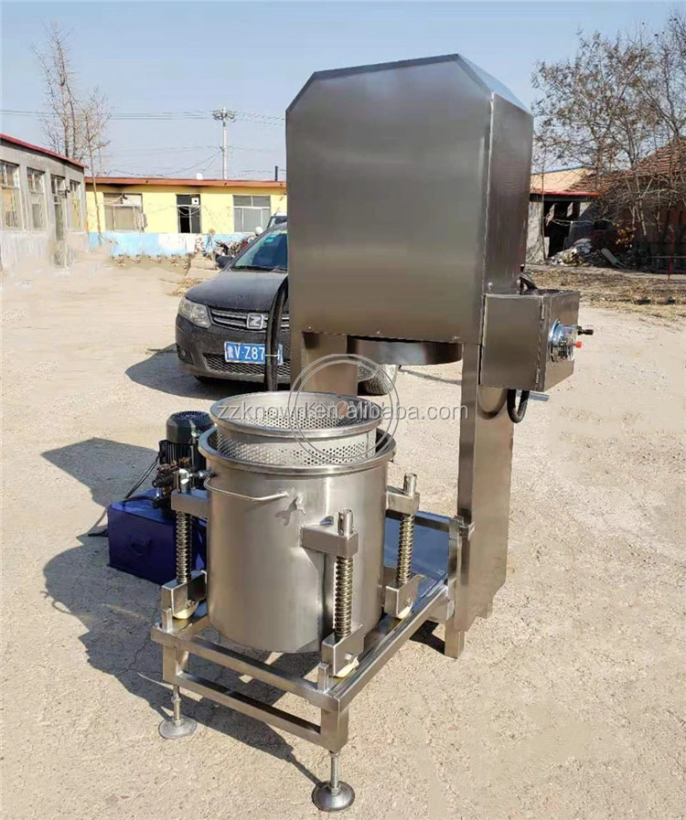 Commercial Industrial Screw Hydraulic Fruit Vegetable Press Machine
