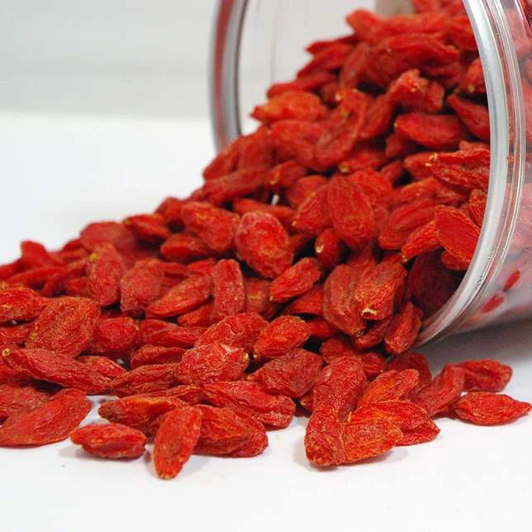 
Wholesale Chinese Wolfberry Organic Goji Berries Lycium Barbarum for sale 