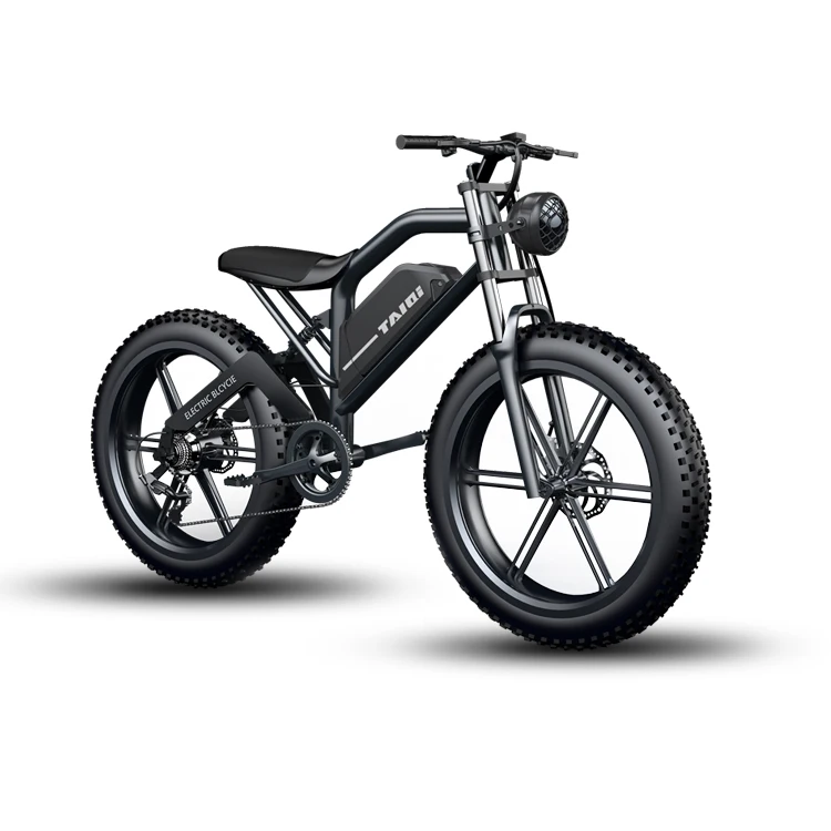 

TAIQI XT600 Alloy frame electric mountain bike 26 fat tire ebike 36V 250W 13AH 1000W electric bicycle