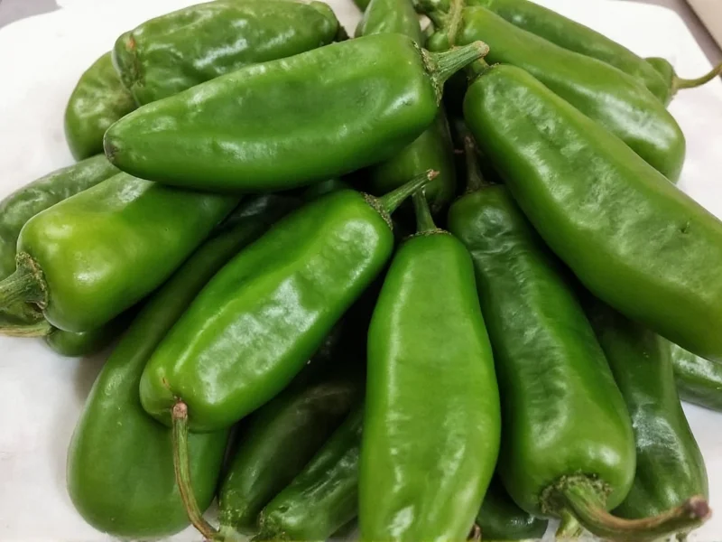 How to Preserve Poblano Peppers: 4 Proven Methods