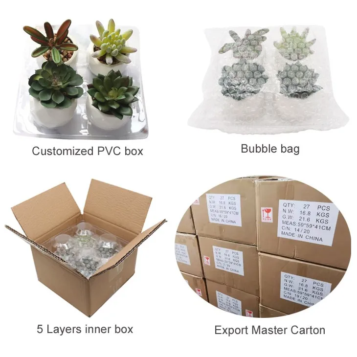 Factory Wholesale Drs4 4set Mini Ceramic Potted Cheap Assorted Bulk Artificial Succulents Buy
