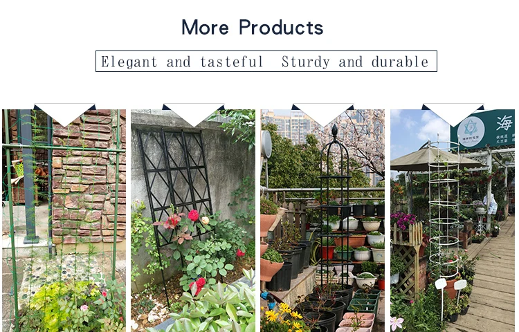 Rose Trellis (15).jpg