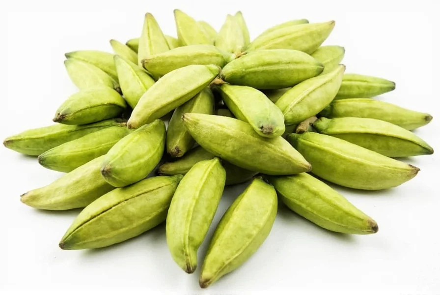 cardamom pod