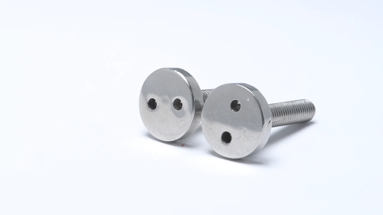 spanner temper proof screw cheese head snake eye pig nose anti