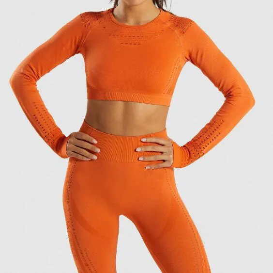 

2021 New Ladies Clothing Sportswear High Waist Gym Mesh Sports Wear Long Sleeve Yoga Sets For Women