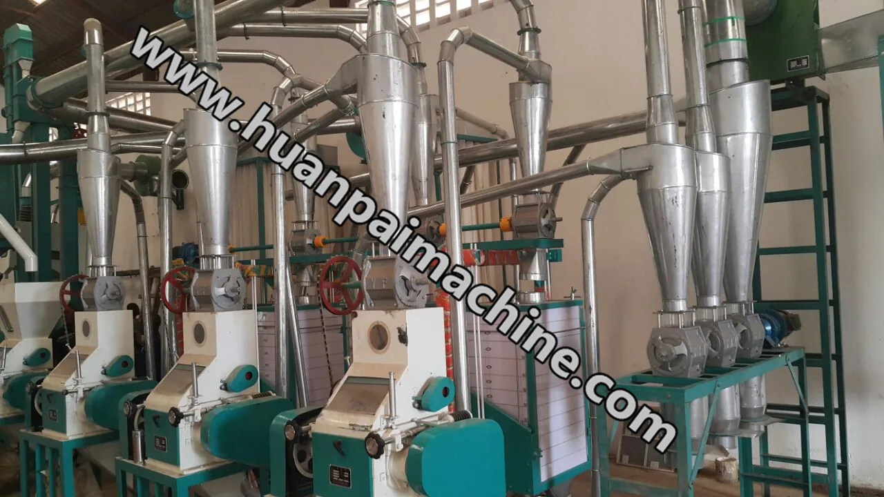 1030tpd Industrial Flour Mill Corn Mill Machine For Sale Ghana Mealie