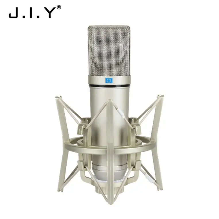 

New Arrival Singing Condenser Microphone Studio Recording Mini Mic, Champagne