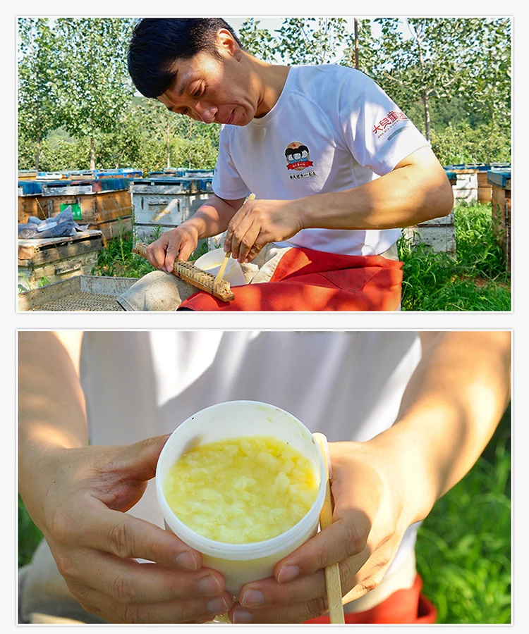 High Grade Organic Lyophilized Fresh Pure Royal Jelly
