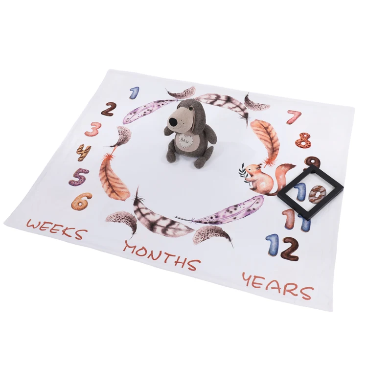 
2019 Amazon Hot Sale New Design Double Sided Different Pattern 2-Ply Babies Milestone Super Soft Fleece Baby Blanket 