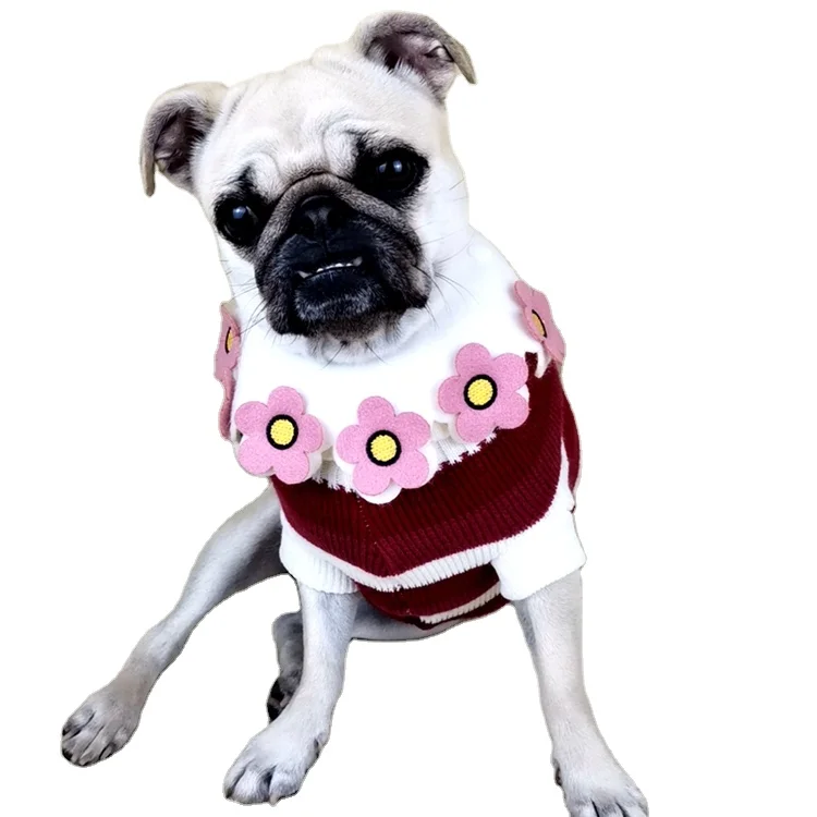 

XXXS Drop Shipping Designer Turtleneck Luxury Striped Small Medium Puppy Pet Dog Sweater