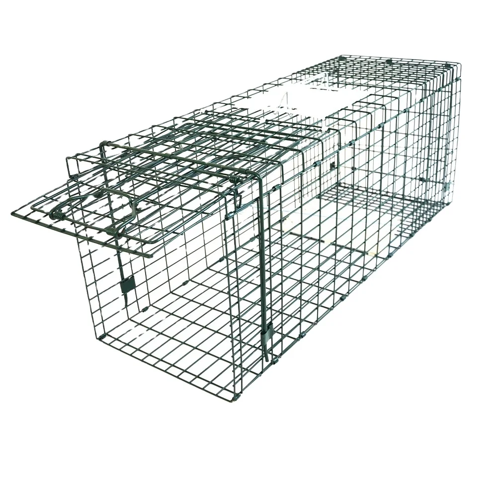 

Wild Animal Trap Cage for Rabbit Squirrel Cat Fox Preventing Possum Rat