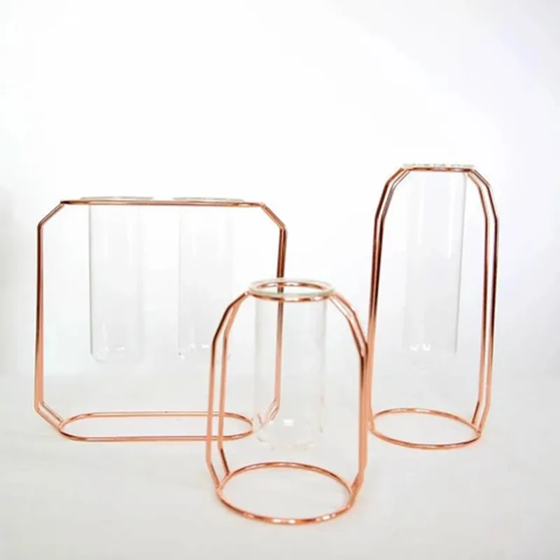 

Modern Gold Rose Iron Flower Vase Test Tube Transparent Glass Vase Home Decoration Flower Stand, Customized color