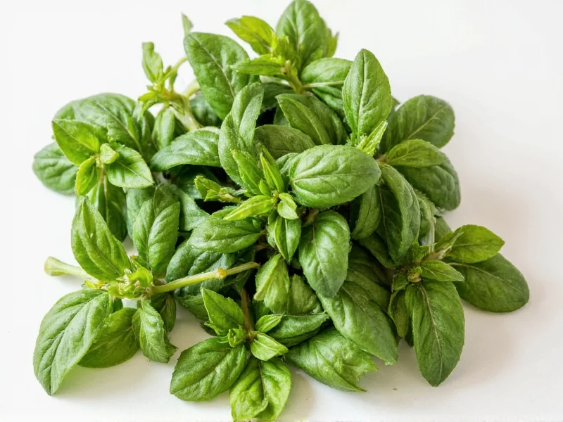 Best Dry Basil Substitute: Top 5 Options for Perfect Flavor