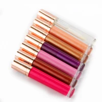 

Plastic Waterproof Vendor Unique No Logo Label Glitter Powder Soft Lip Plumper Gloss