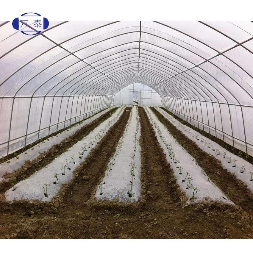 
China factory eco friendly Light conversion film uv reflective film for agricultural greenhouse 