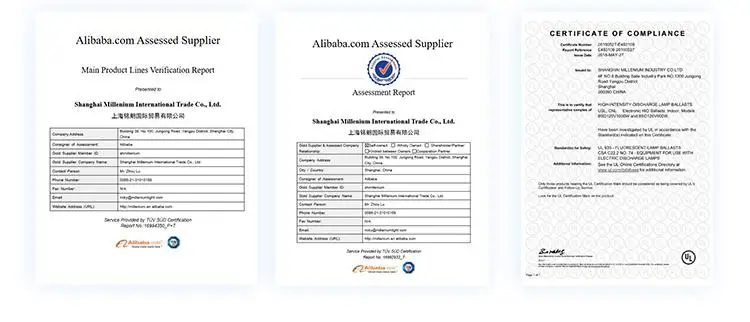 Company Profile-1.jpg