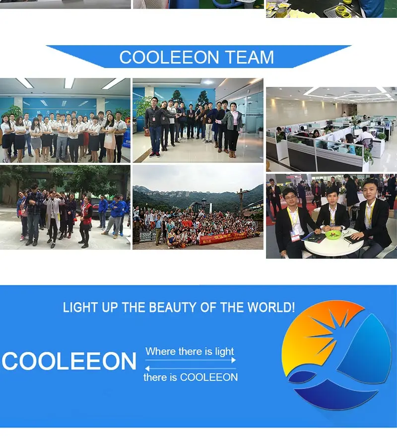 cob led light bulb (3)