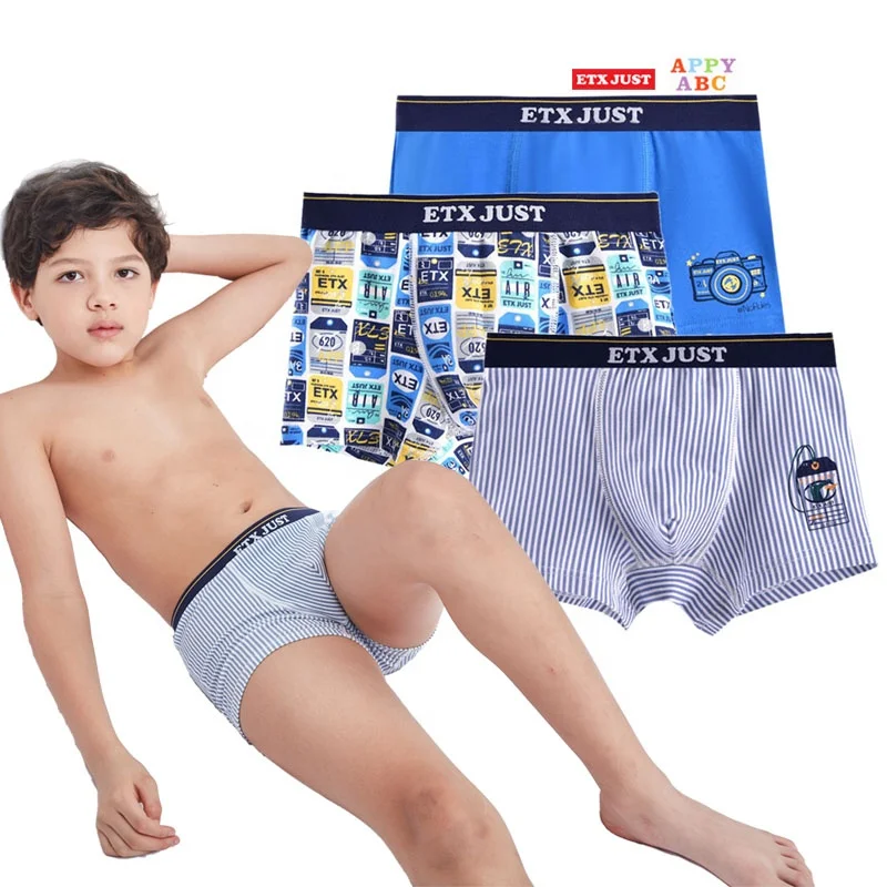 

Custom Private Logo Boxer Boy In Brief Underwear