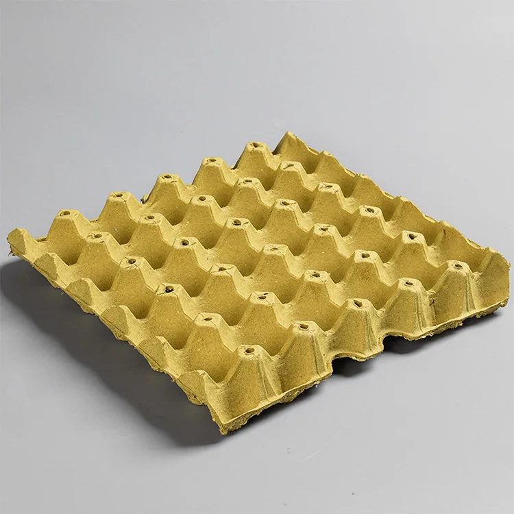 Eco Friendly Paper Pulp Box 30 Chicken Eggs Trays Buy Egg Trays 30
