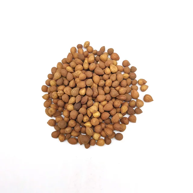 
GMP Factory supply Chinese Bushberry seed 